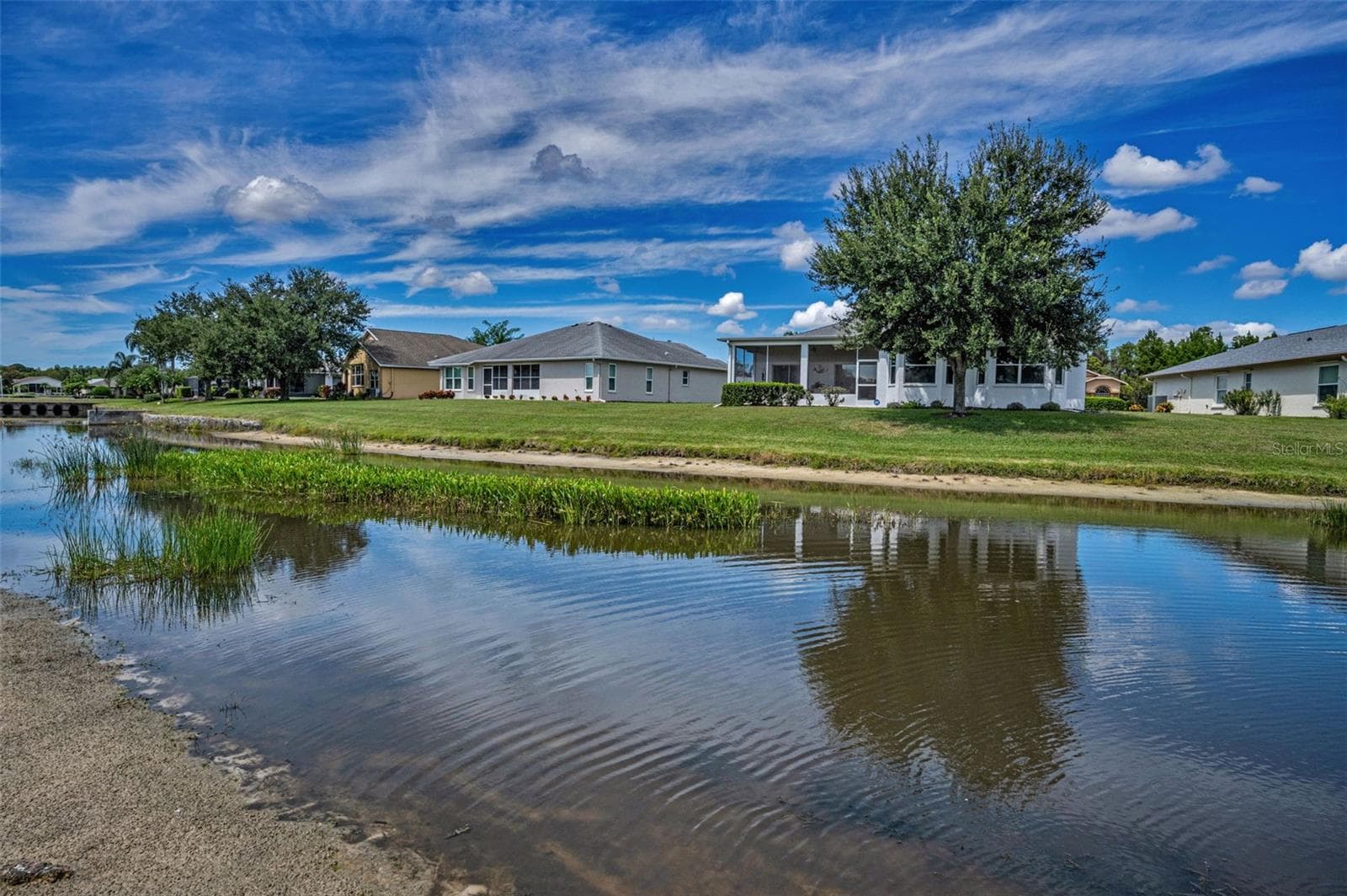 ANOTHER VIEW OF POND FROM YOUR BACK YARD. - 12021 FERN TERRACE CT, TRINITY