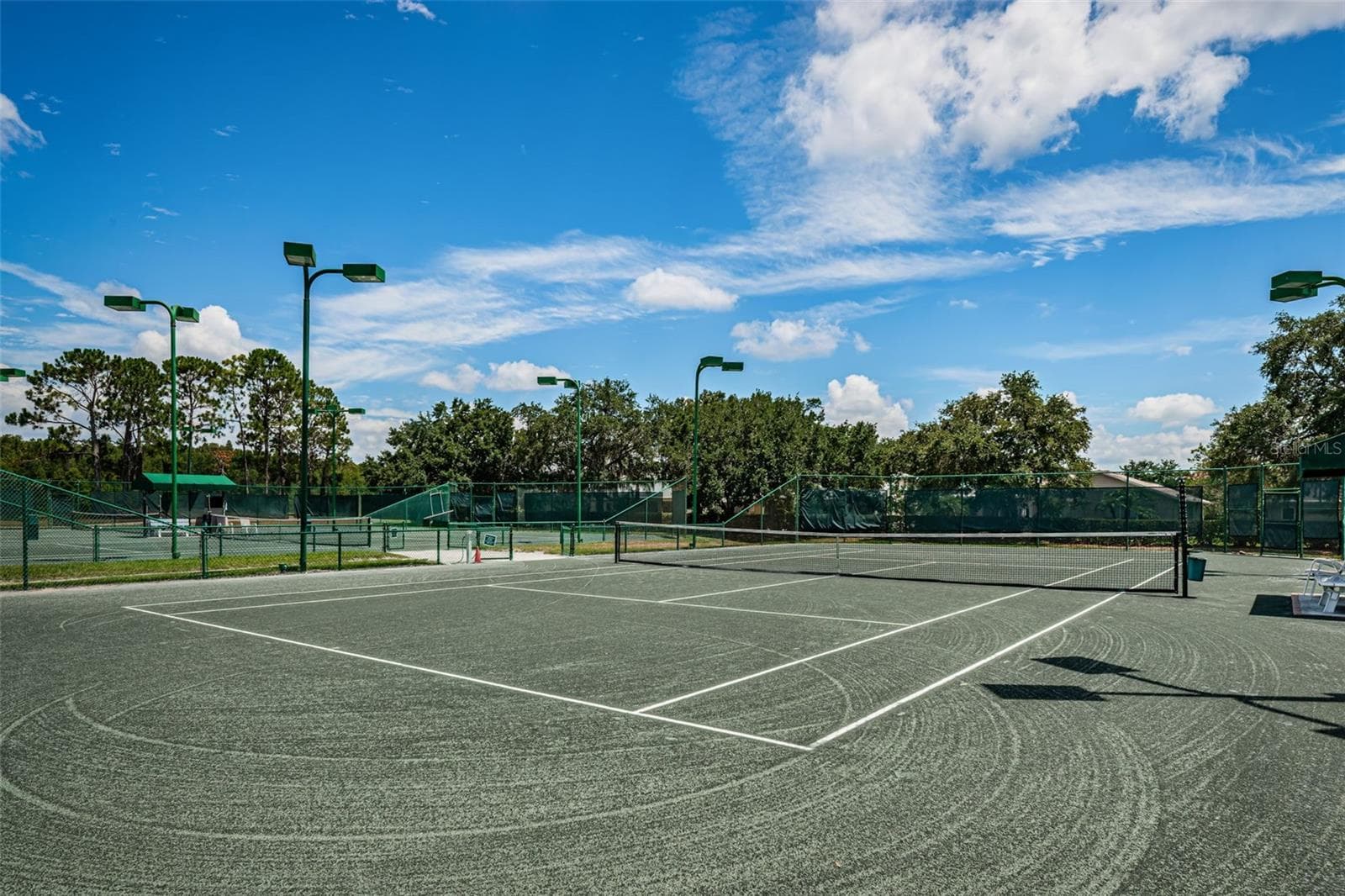 TENNIS COURTS - 12021 FERN TERRACE CT, TRINITY