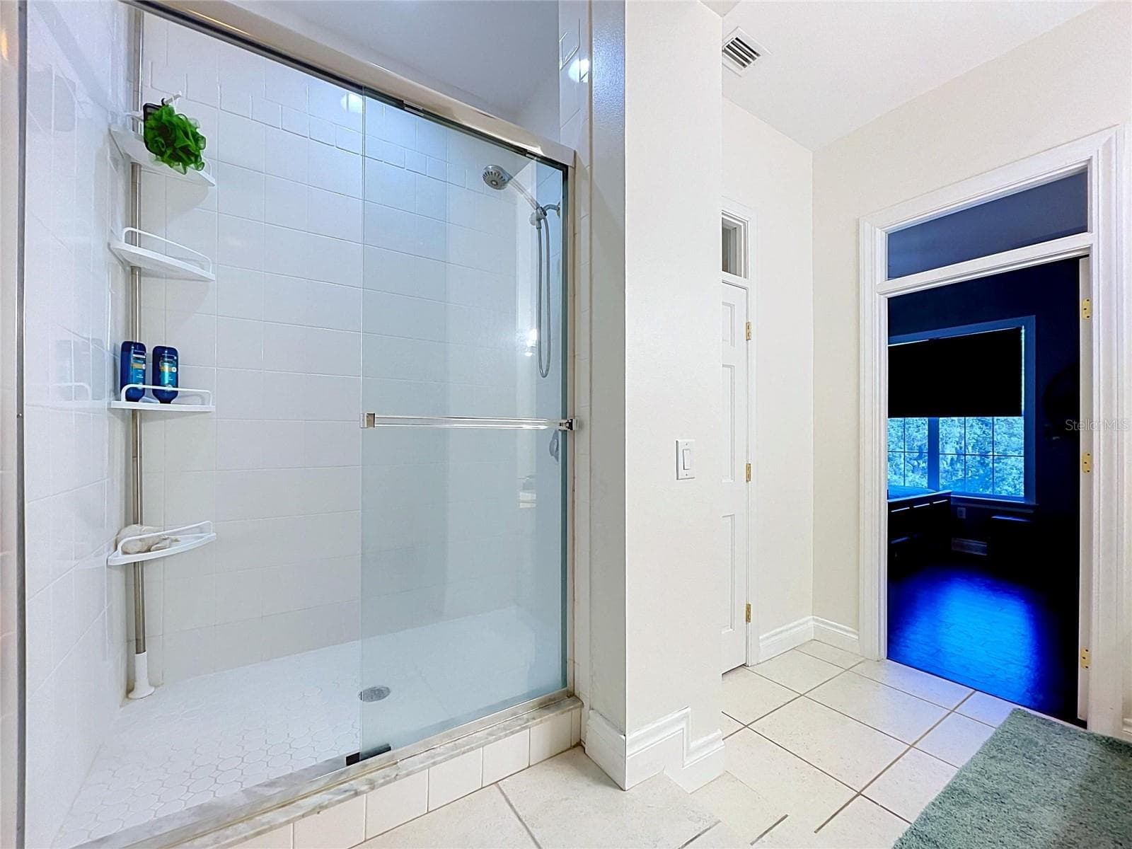 Bathroom attached to Bedroom 2 - 2918 MAGNOLIA TRCE, TARPON SPRINGS