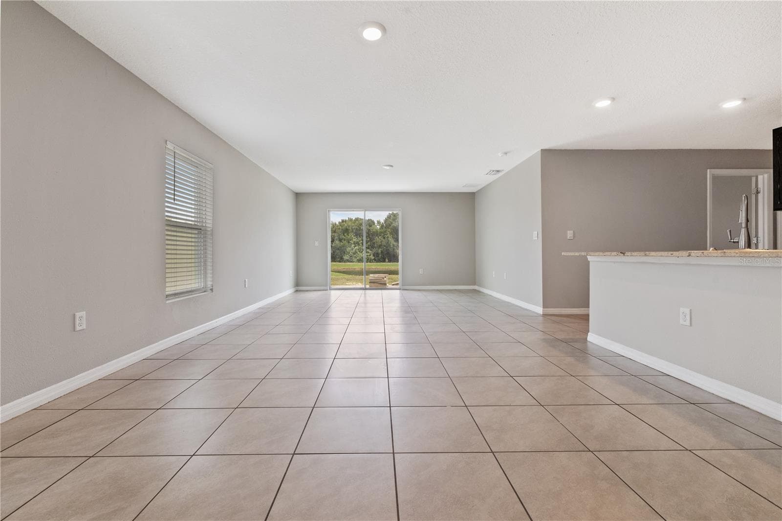 Single Family Residence at 11722 WHITE WILLOW LN, RIVERVIEW, photo 4 of 34
