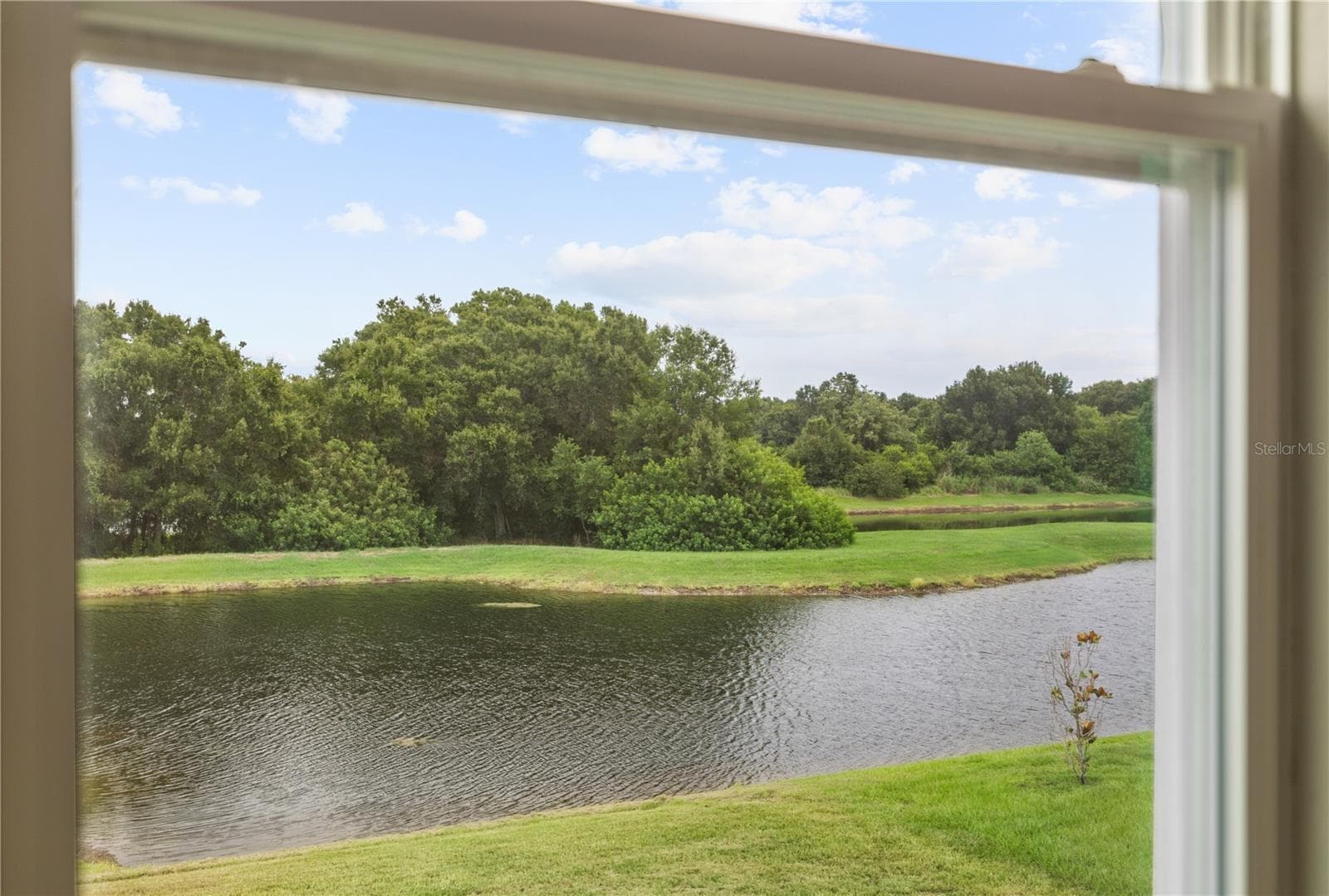 Single Family Residence at 11722 WHITE WILLOW LN, RIVERVIEW, photo 27 of 34