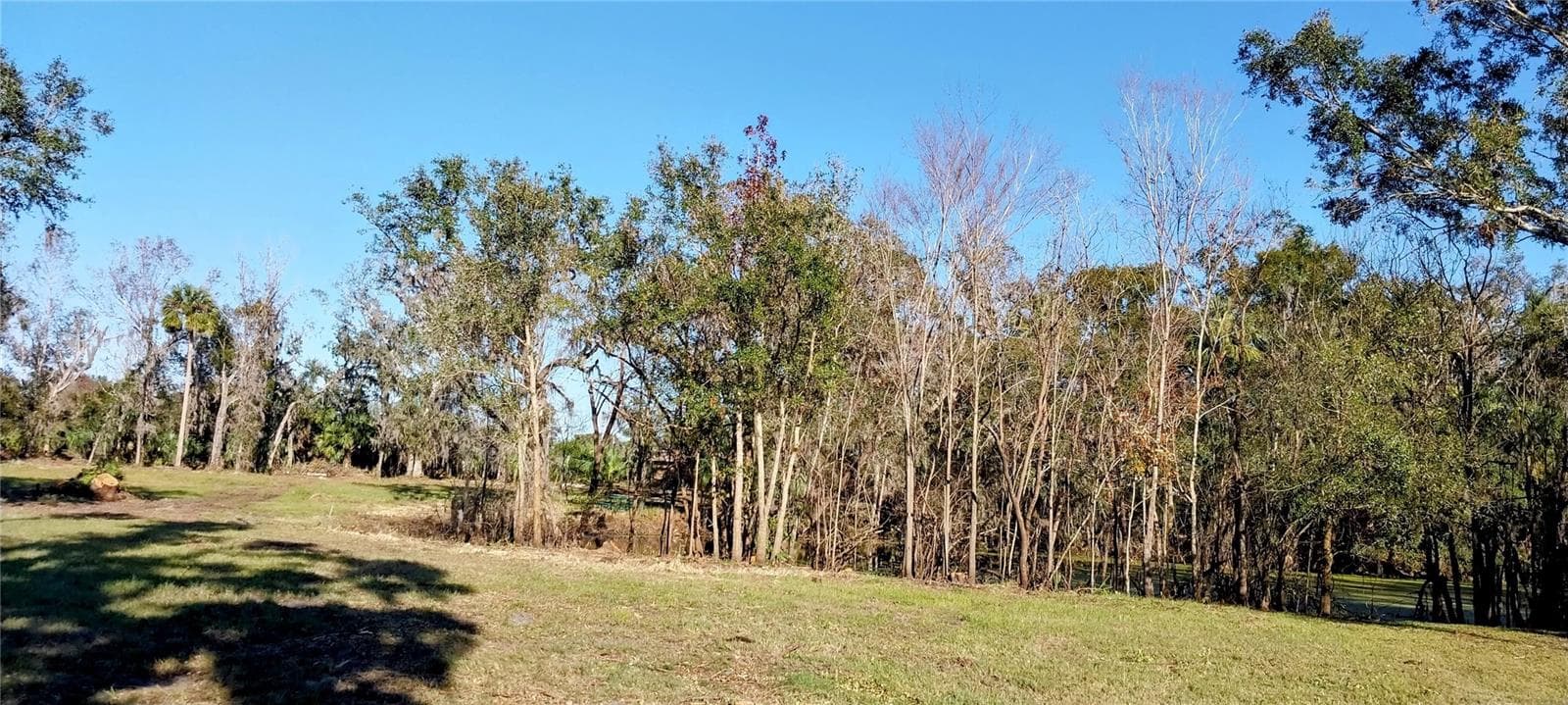 Land at 11105 WINN RD, RIVERVIEW, photo 11 of 22