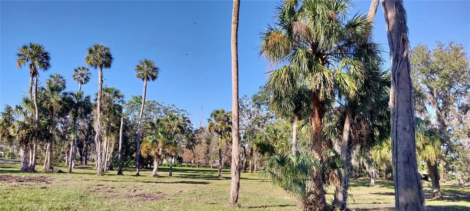 Land at 11105 WINN RD, RIVERVIEW, photo 12 of 22