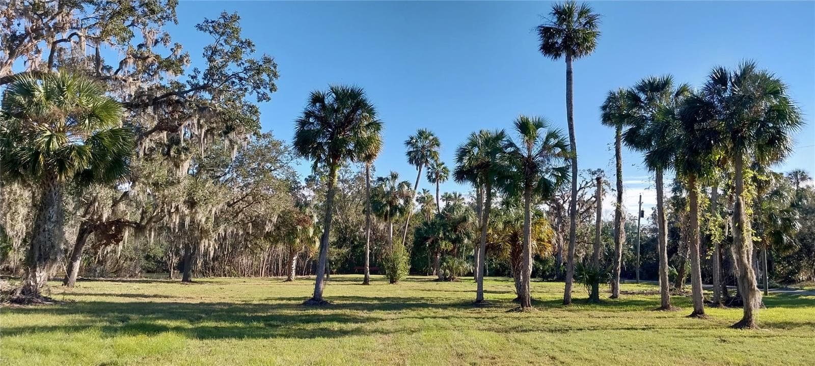 Land at 11105 WINN RD, RIVERVIEW, photo 14 of 22