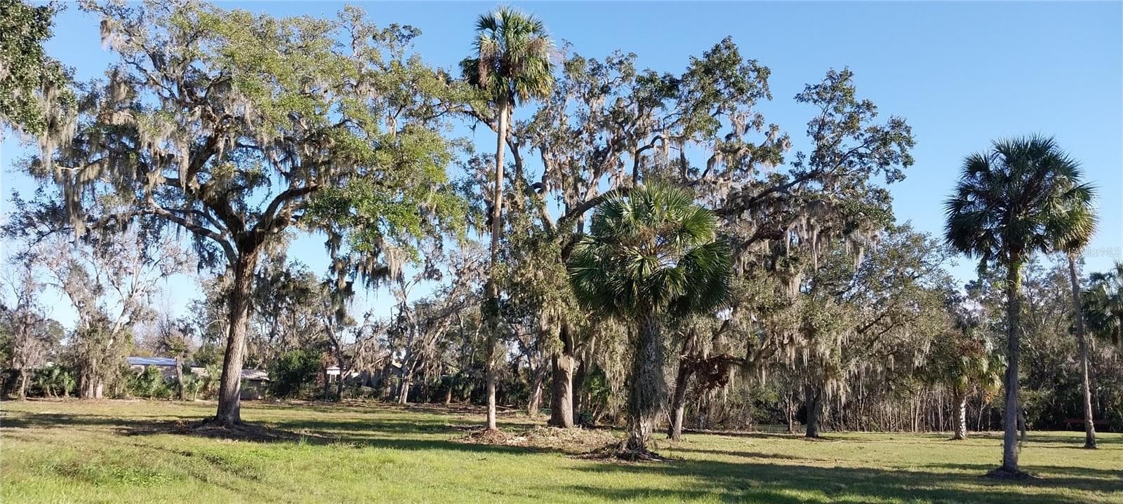 Land at 11105 WINN RD, RIVERVIEW, photo 15 of 22