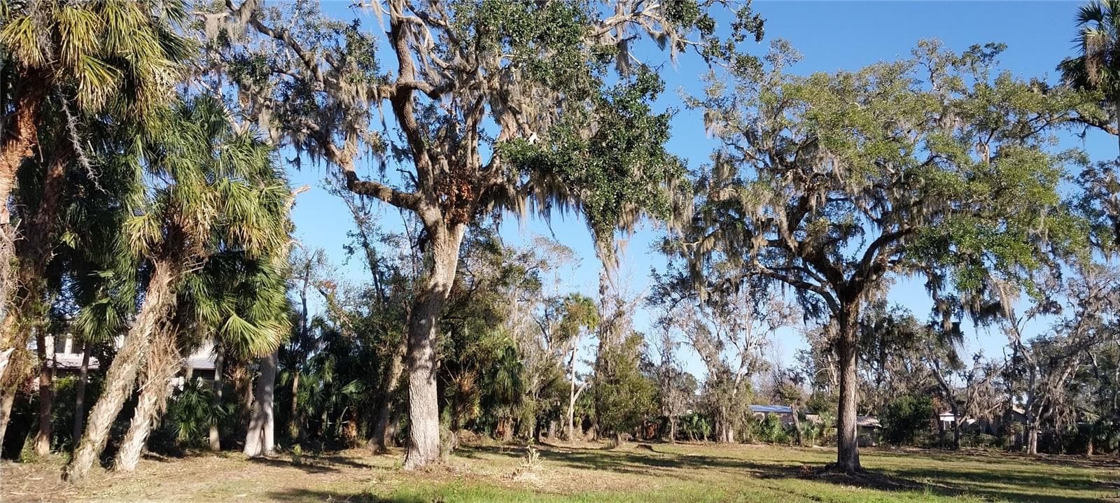 Land at 11105 WINN RD, RIVERVIEW, photo 16 of 22