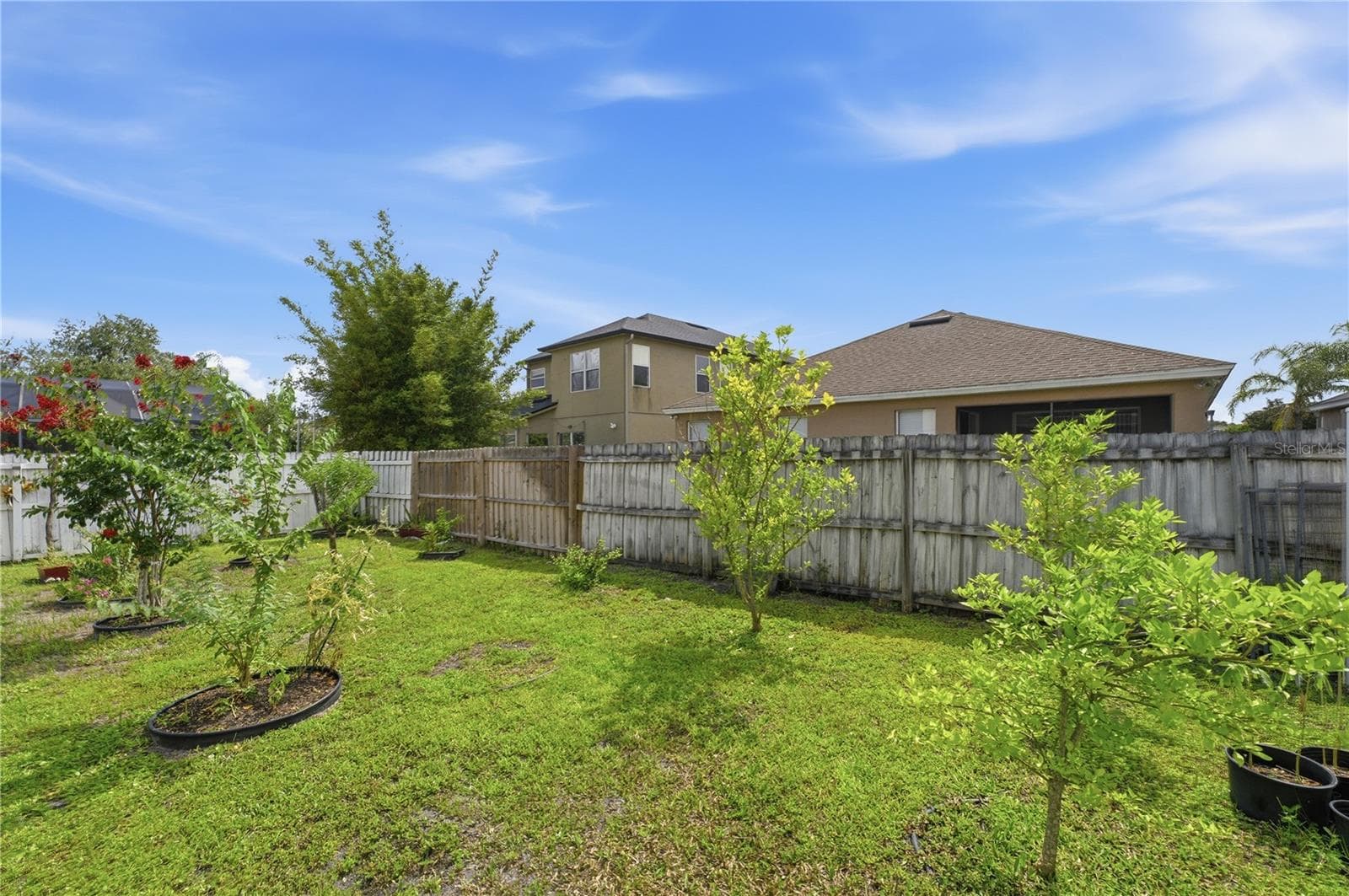 Backyard - 10114 OAK CREST RD, ORLANDO