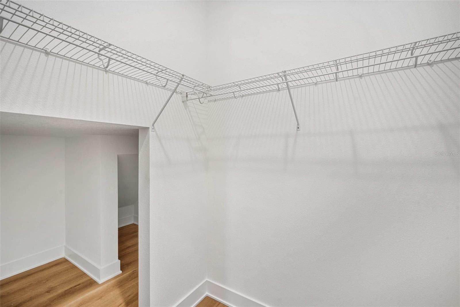First floor bedroom closet that extends under staircase - 3108 W BALLAST POINT BLVD, TAMPA