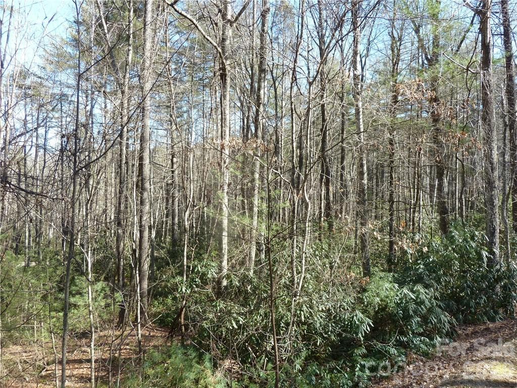 Lot at 30 Abby Falls Drive, Rosman, photo 2 of 48