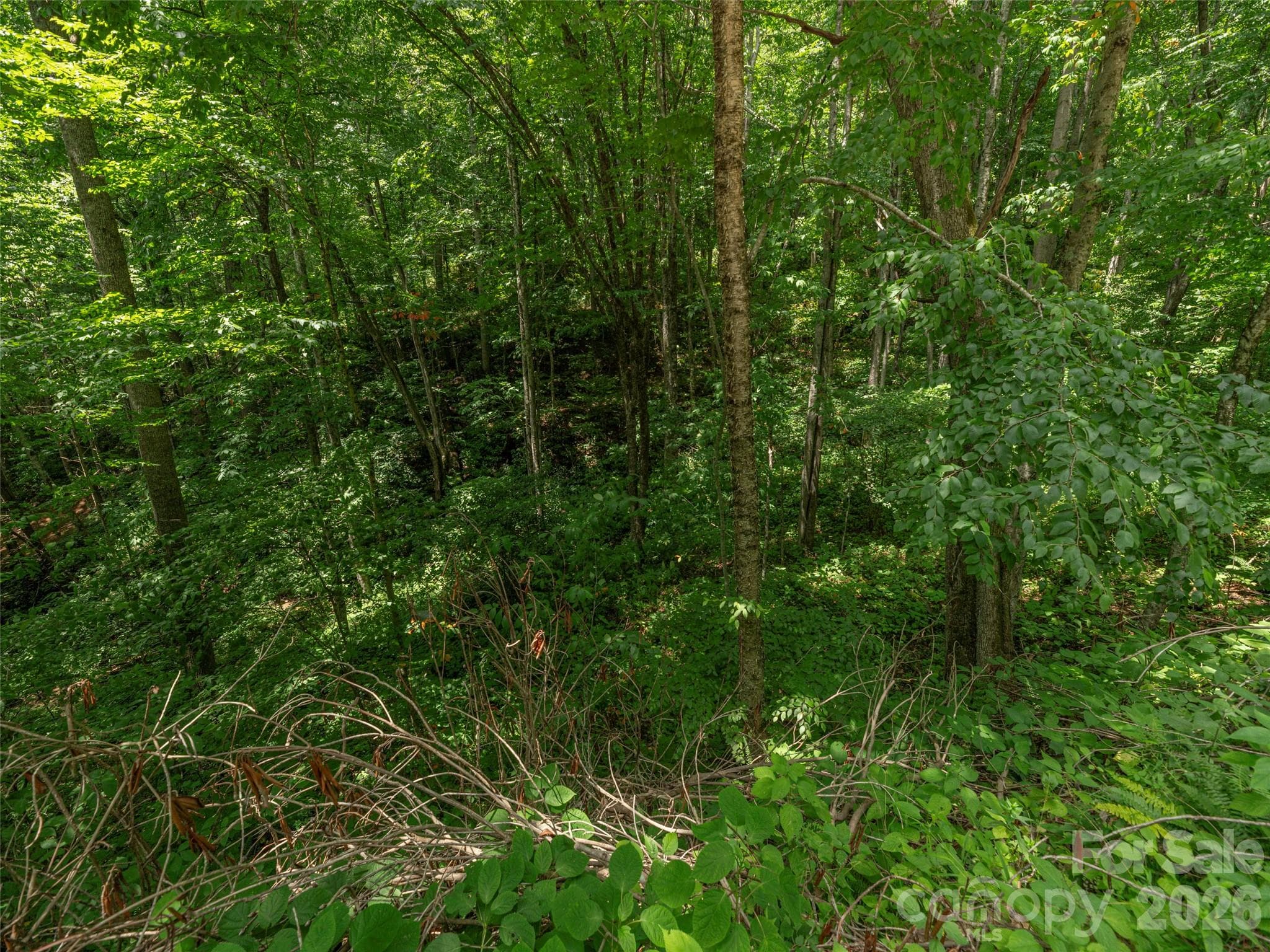 Acreage at 000 Rough Knob Road, Clyde, photo 2 of 5