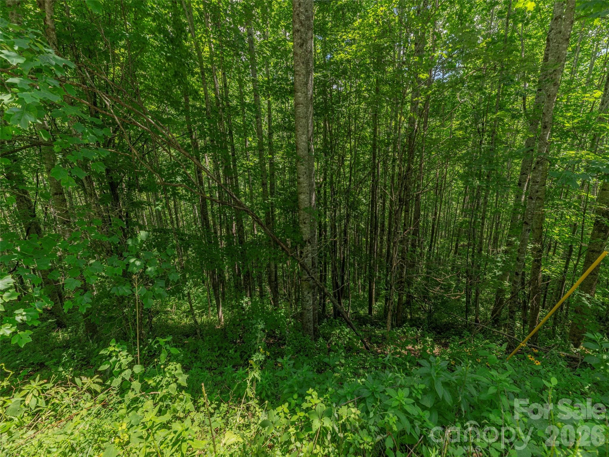 Acreage at 000 Rough Knob Road, Clyde, photo 3 of 5