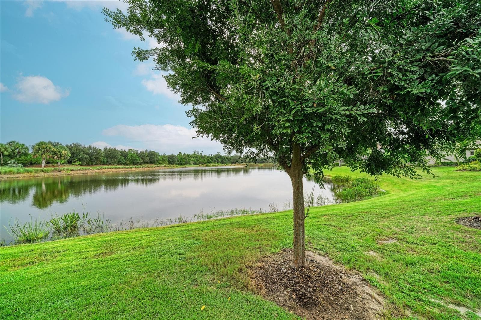 Single Family Residence at 13321 SORRENTO WAY, BRADENTON, photo 56 of 80