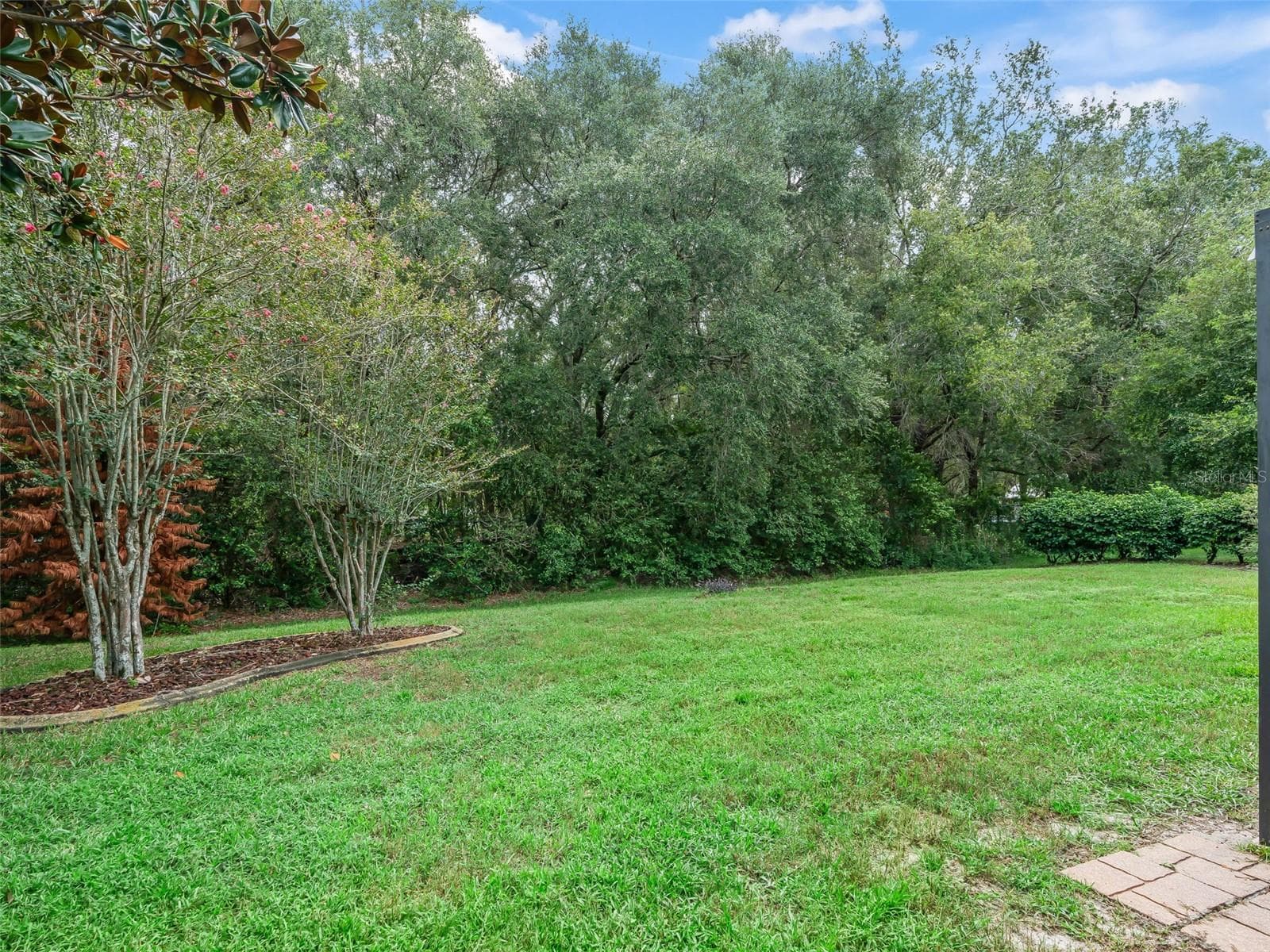 Yard - 17879 SE 125TH CIR, SUMMERFIELD
