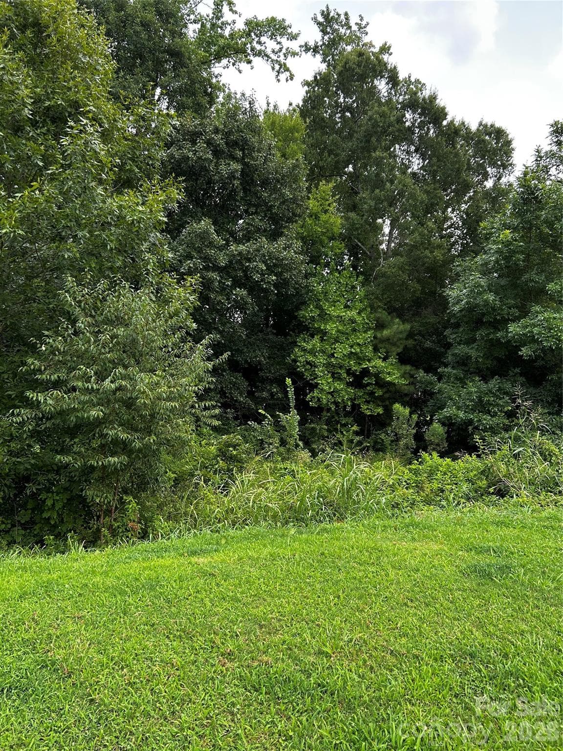 704 Larimer Lane