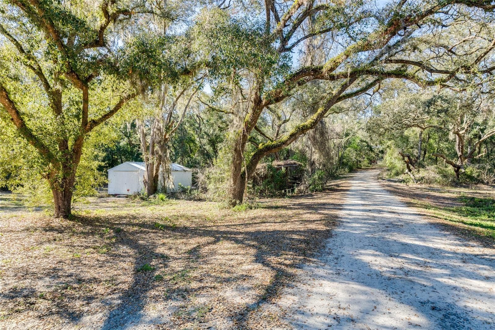 Land at 12312 SE 112TH AVENUE RD, BELLEVIEW, photo 5 of 36