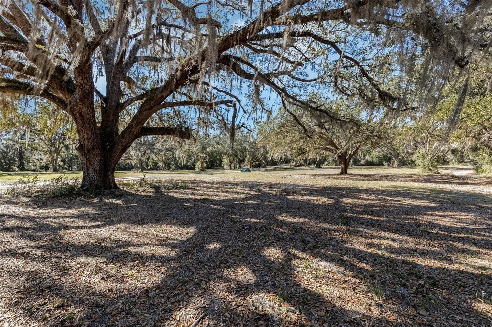 Land at 12312 SE 112TH AVENUE RD, BELLEVIEW, photo 6 of 36