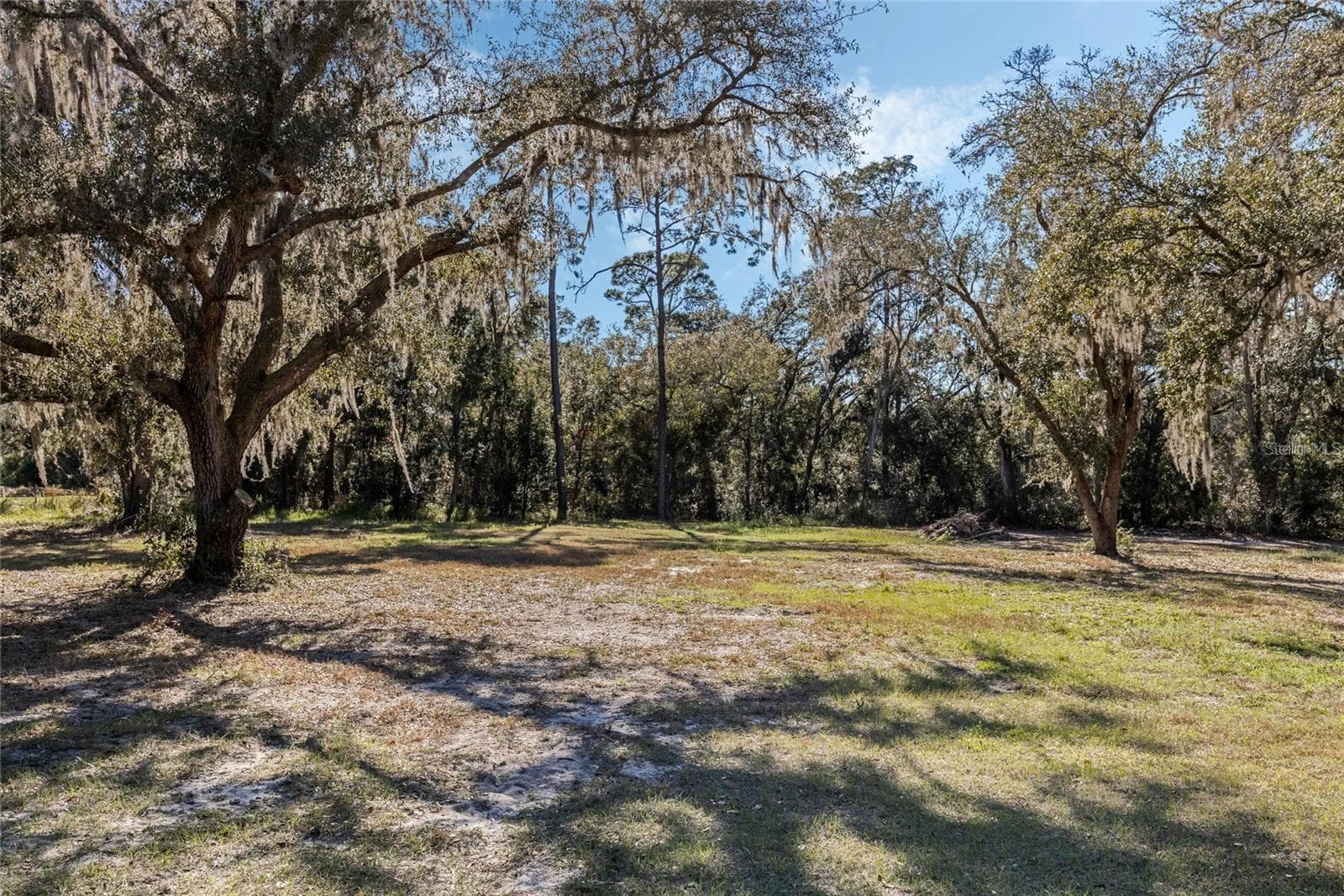 Land at 12312 SE 112TH AVENUE RD, BELLEVIEW, photo 7 of 36