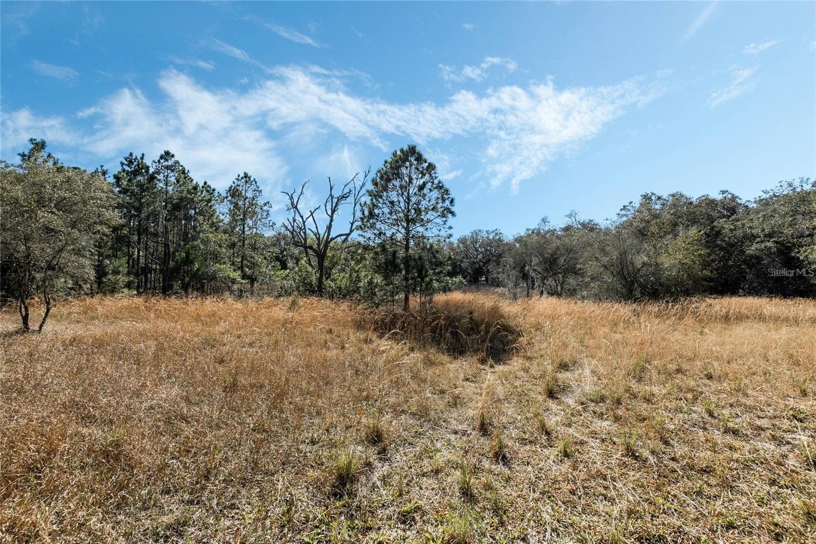 Land at 12312 SE 112TH AVENUE RD, BELLEVIEW, photo 8 of 36