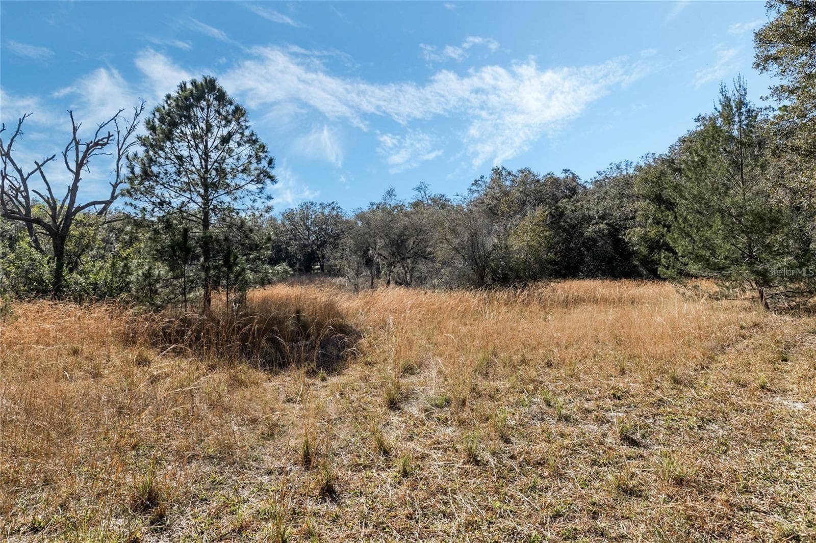 Land at 12312 SE 112TH AVENUE RD, BELLEVIEW, photo 9 of 36