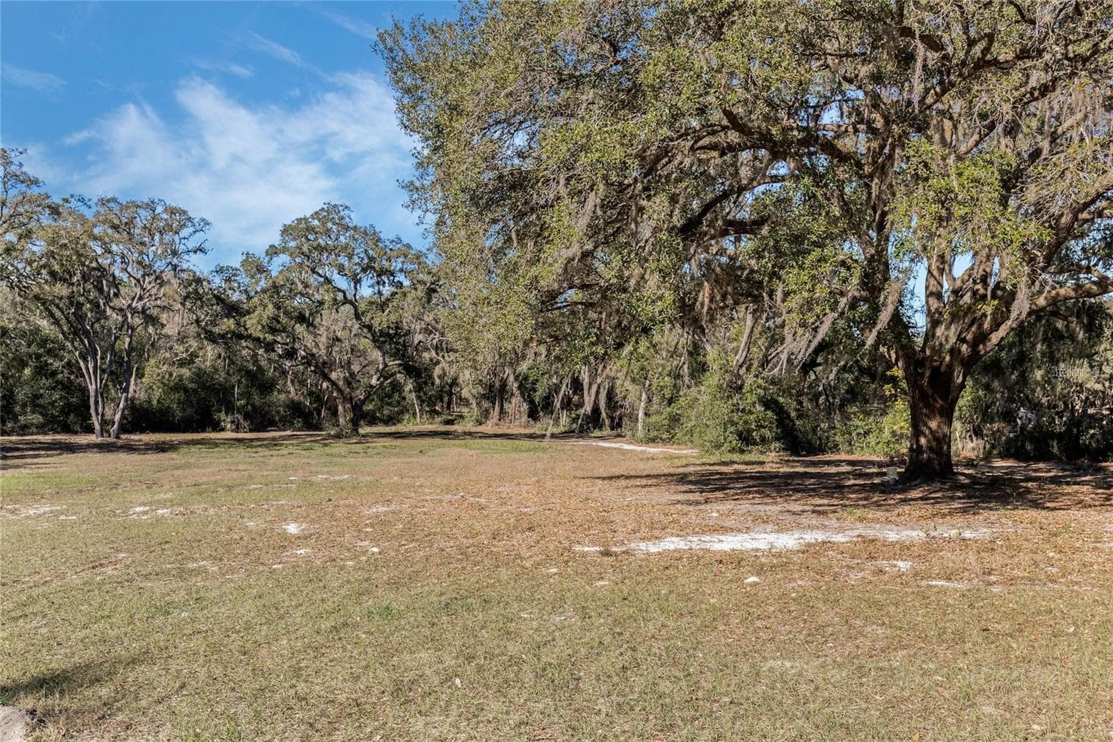 Land at 12312 SE 112TH AVENUE RD, BELLEVIEW, photo 10 of 36