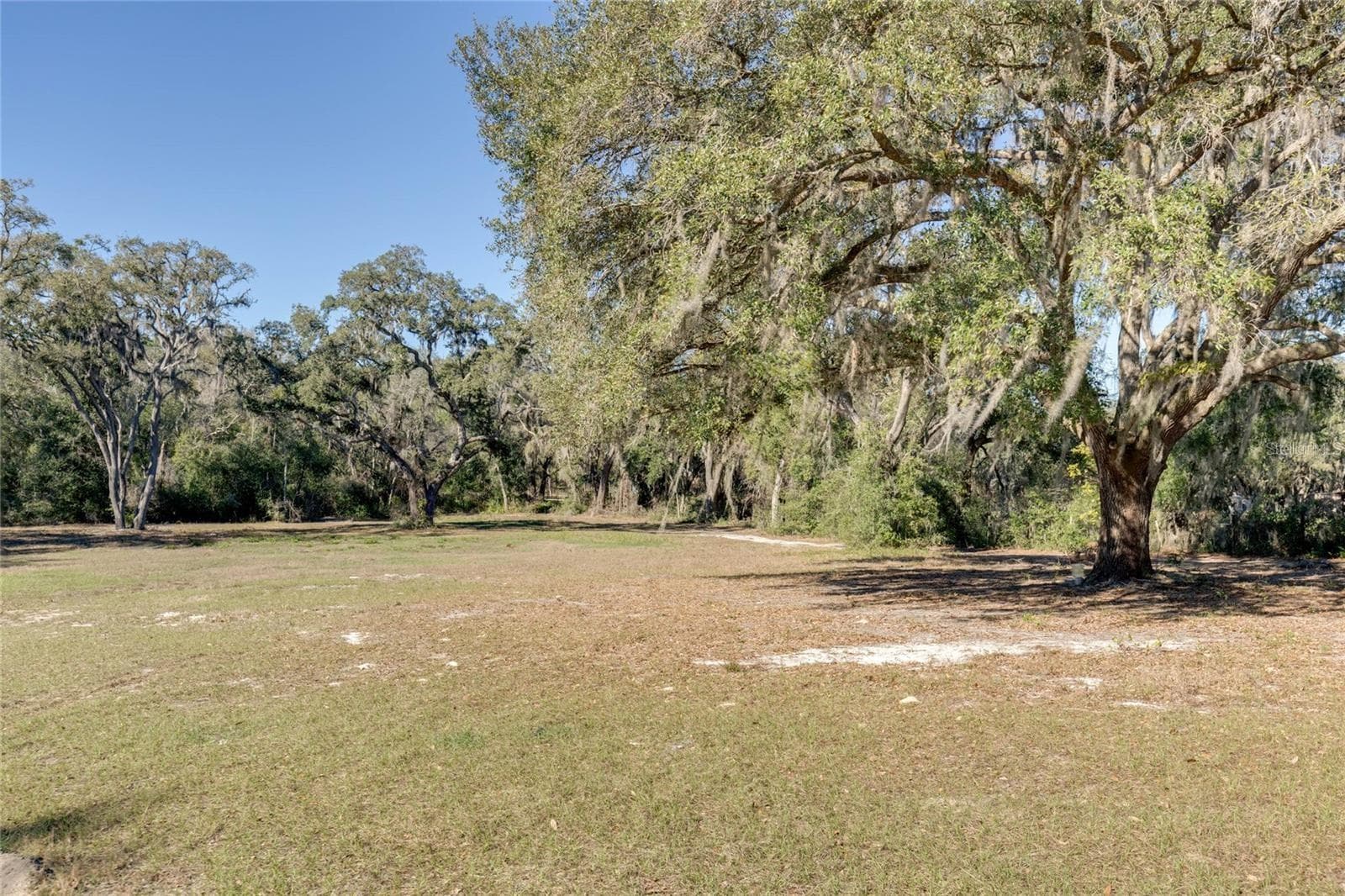 Land at 12312 SE 112TH AVENUE RD, BELLEVIEW, photo 11 of 36