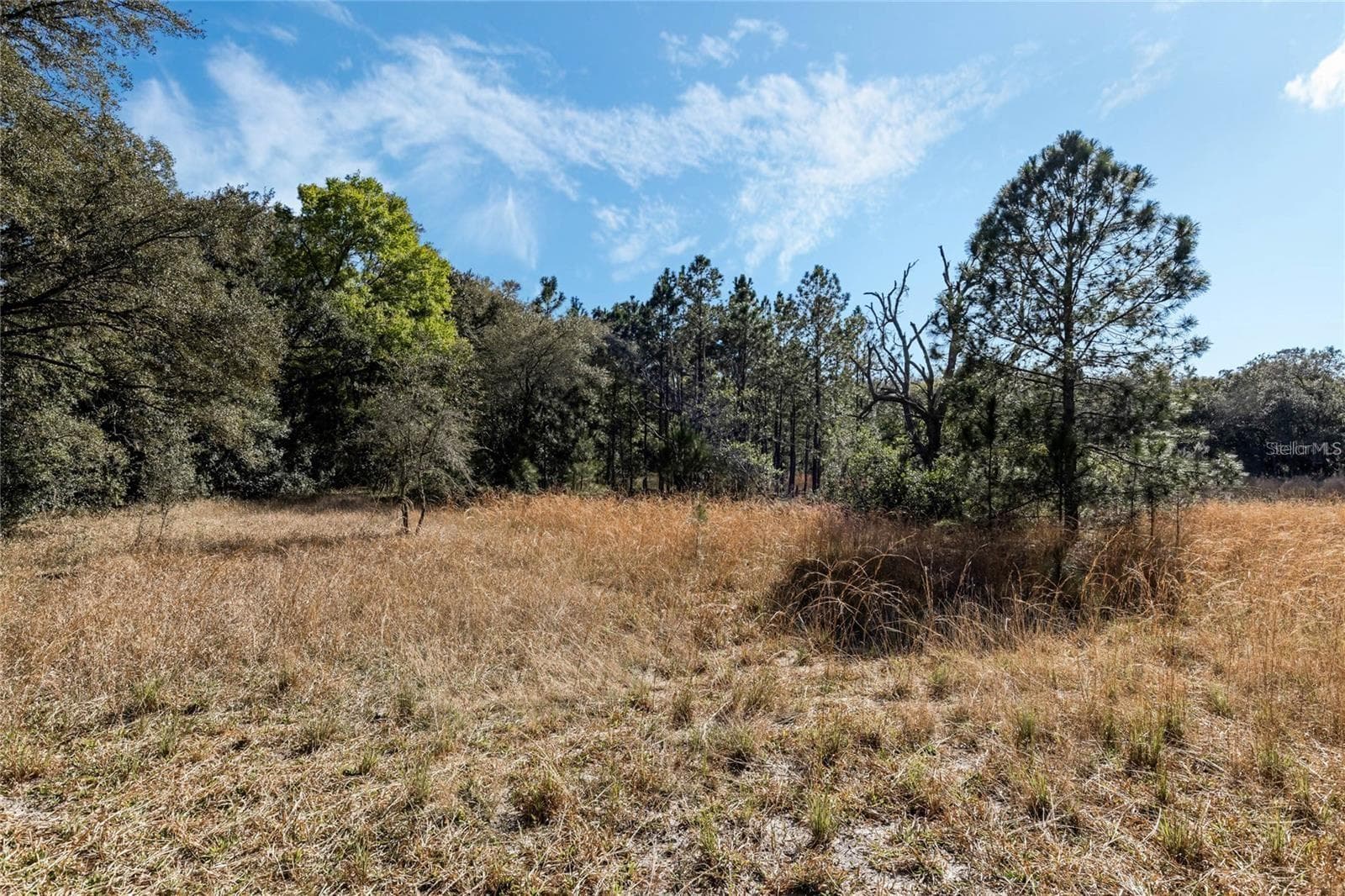 Land at 12312 SE 112TH AVENUE RD, BELLEVIEW, photo 31 of 36