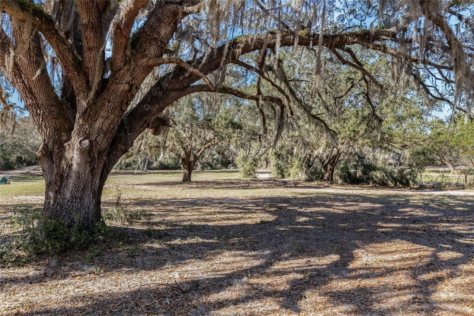 Land at 12312 SE 112TH AVENUE RD, BELLEVIEW, photo 32 of 36