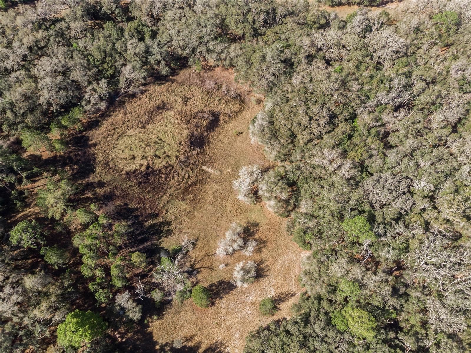 Land at 12312 SE 112TH AVENUE RD, BELLEVIEW, photo 36 of 36
