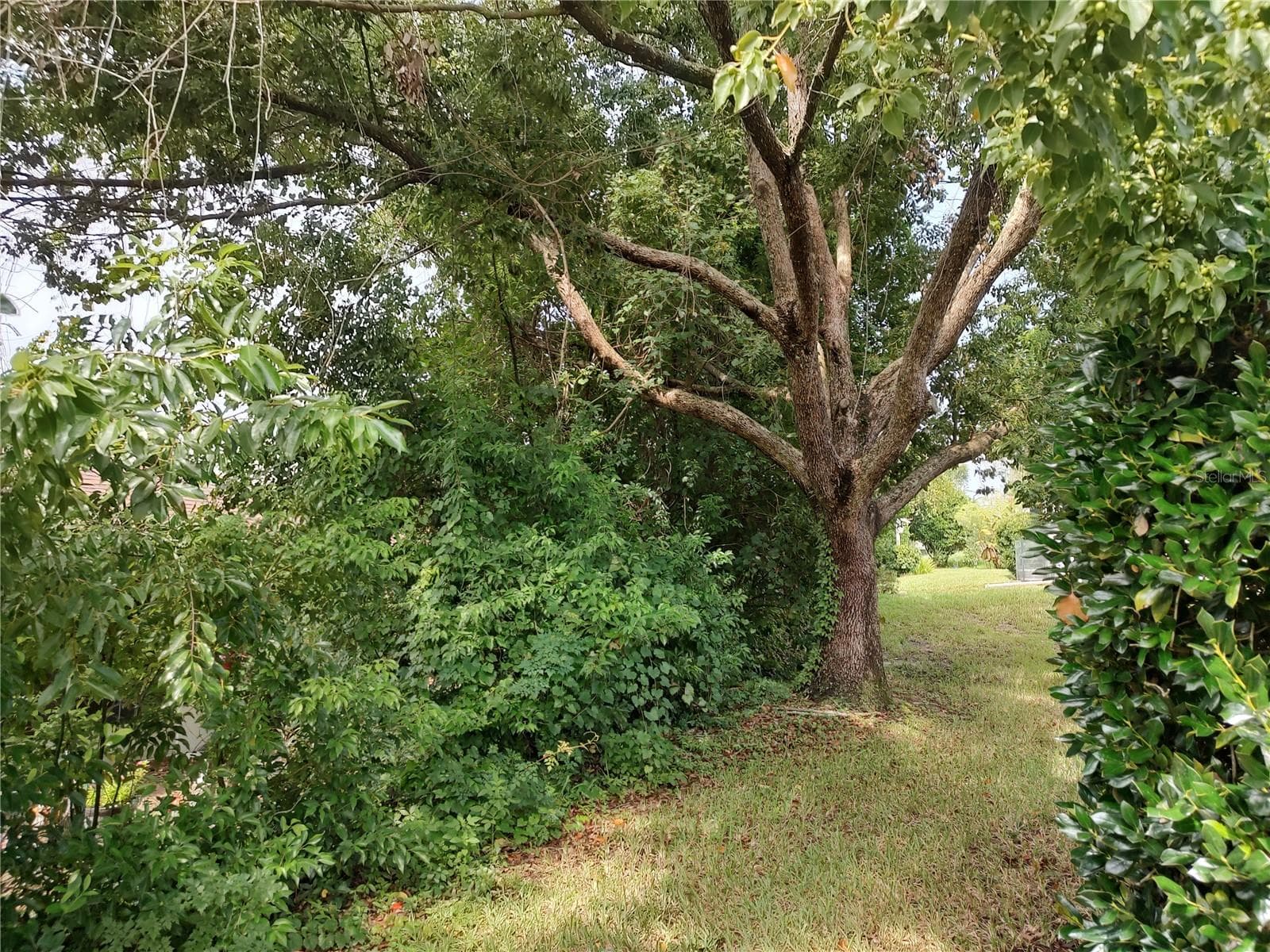 Back yard makes nice border at rear of lot - 3716 E COVE PARK TRL, HERNANDO
