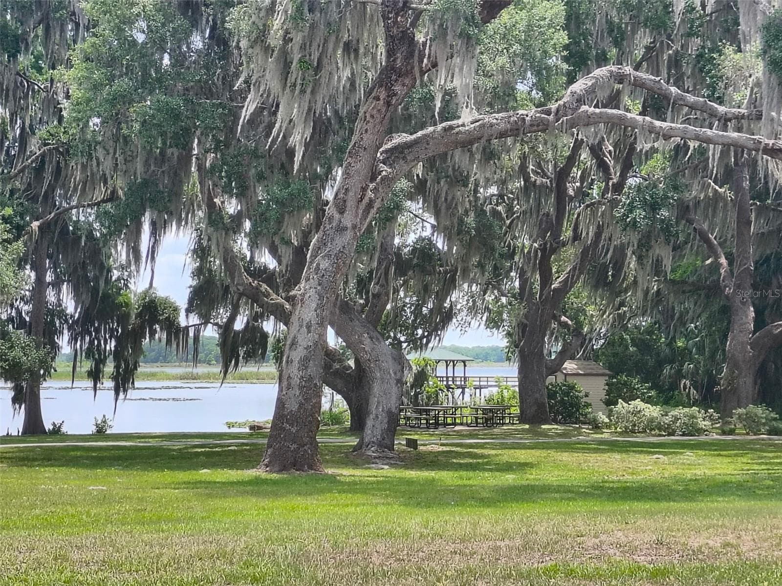 Vew of Lake at Park - 3716 E COVE PARK TRL, HERNANDO
