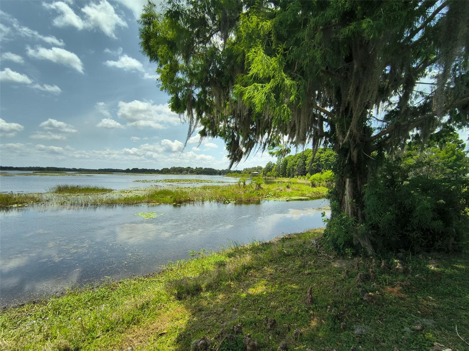Miles of lake to venture - 3716 E COVE PARK TRL, HERNANDO
