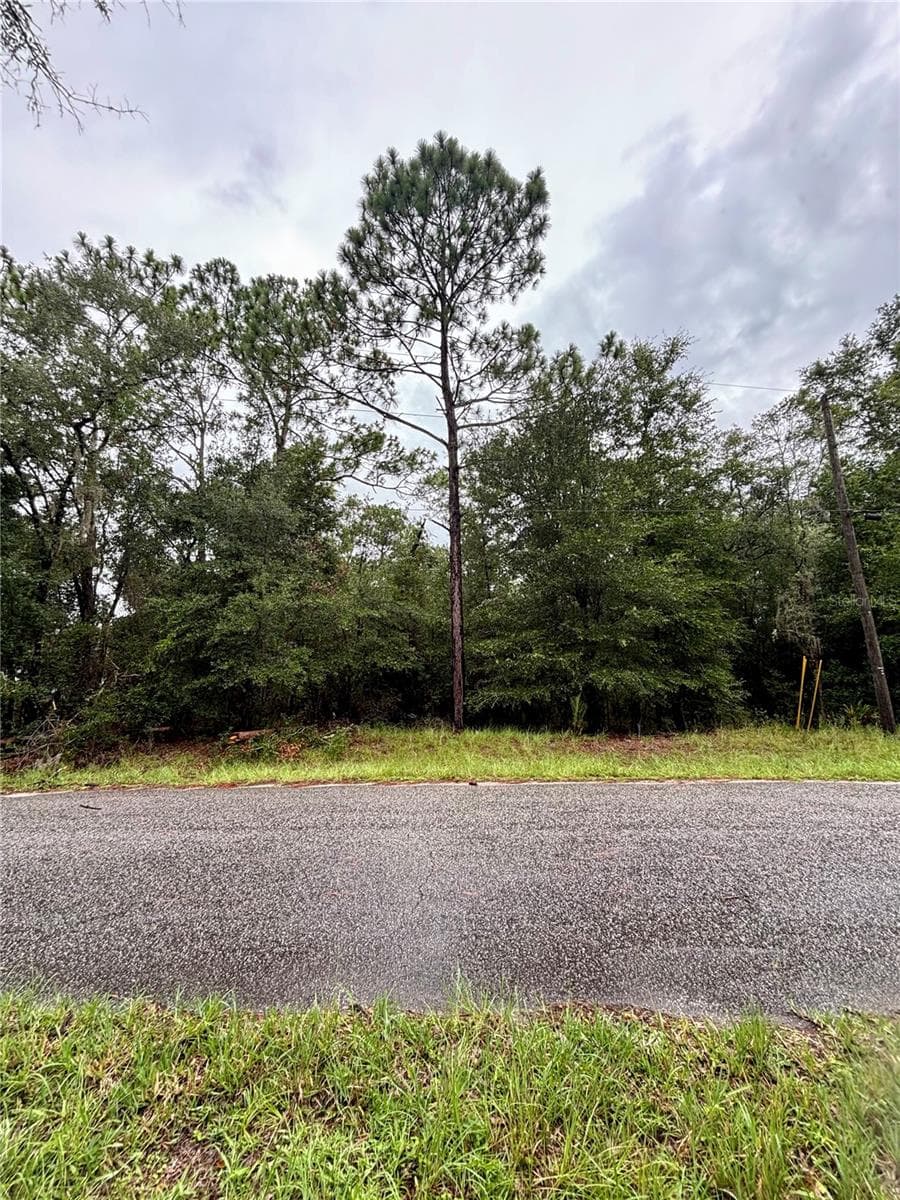 Lot 28 SW 206 CIR