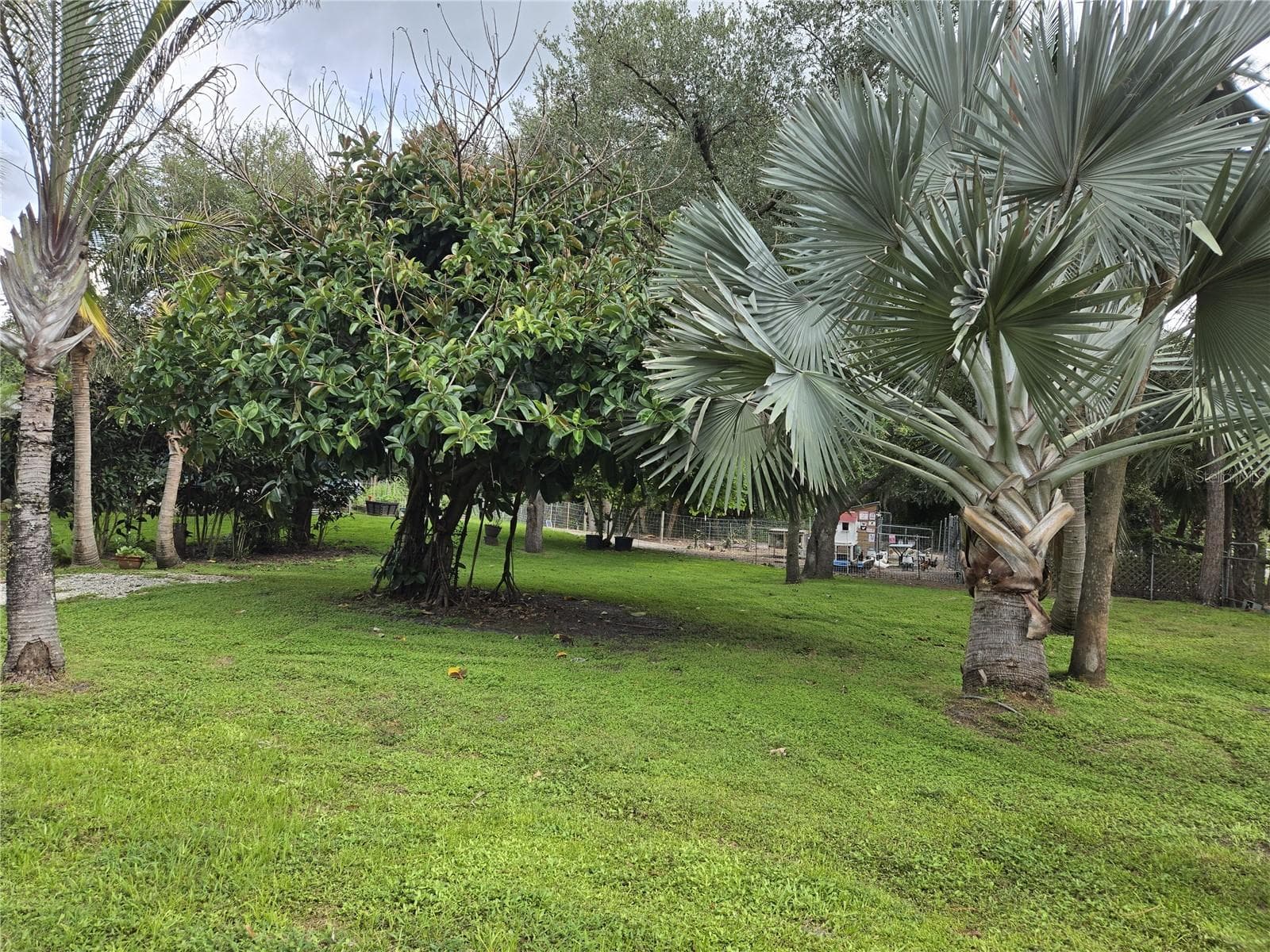 Single Family Residence at 6649 PIMLICO ST, NORTH PORT, photo 37 of 47