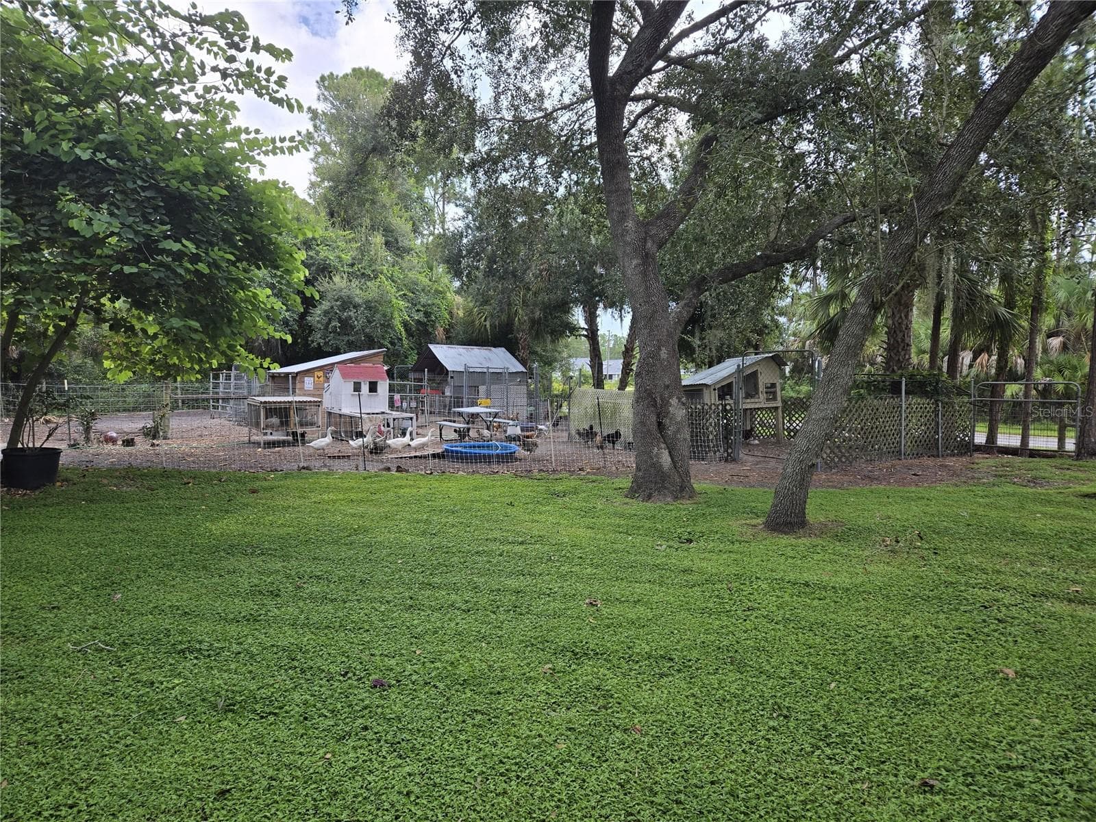 Single Family Residence at 6649 PIMLICO ST, NORTH PORT, photo 38 of 47