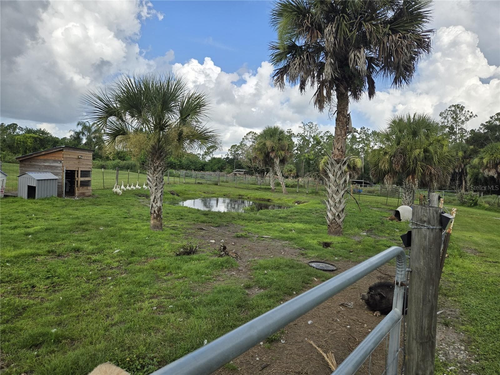 Single Family Residence at 6649 PIMLICO ST, NORTH PORT, photo 46 of 47