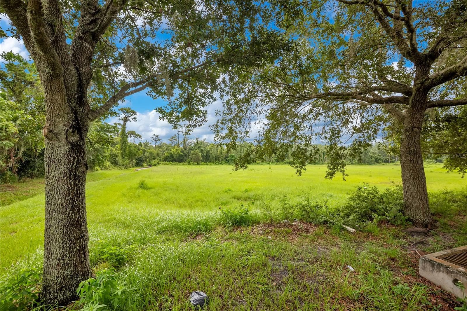 Land at ROCK SPRINGS RD, APOPKA, photo 17 of 33