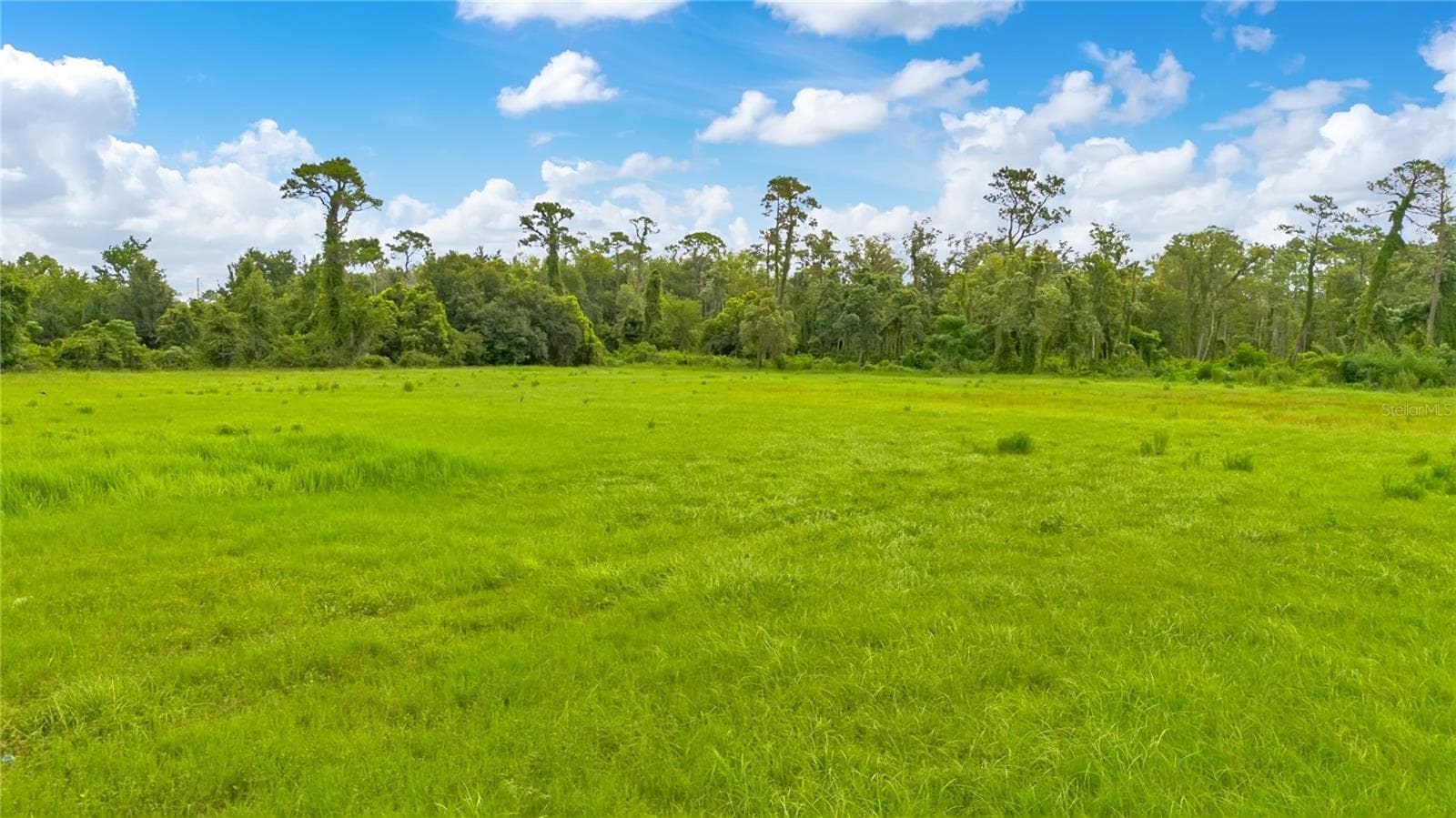 Land at ROCK SPRINGS RD, APOPKA, photo 20 of 33