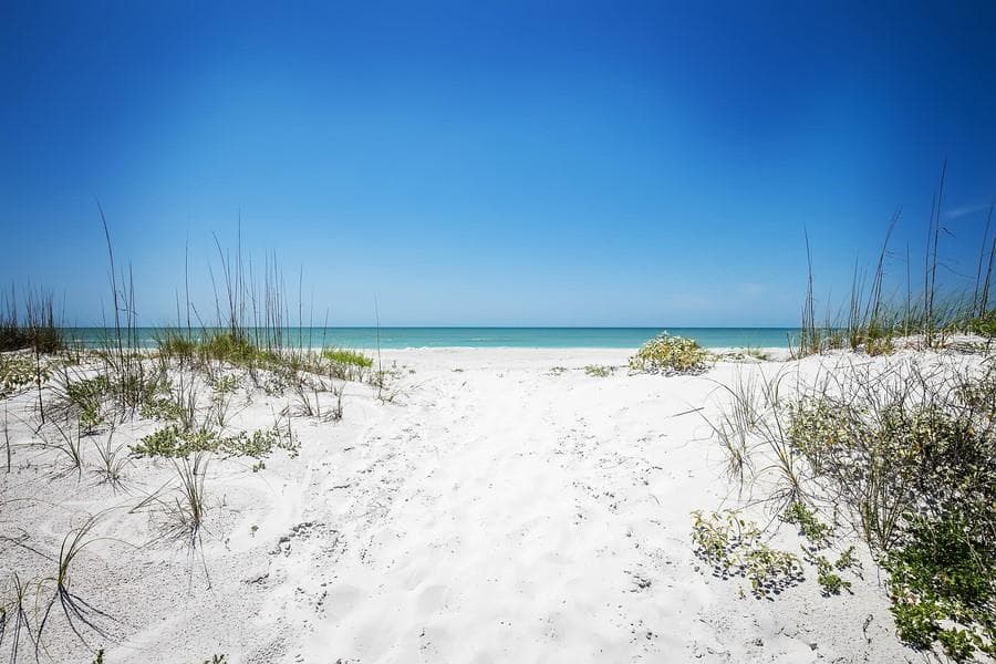 .. Indian Shores Fl.. You will know your neighbor. Indian Shores has underground utilities for safety and aesthetics. The complex is near a police department, family friendly, bikeable and accessible. The beaches are never crowded here. Enjoy our coastal lifestyle. - 19519 GULF BLVD #202, INDIAN SHORES