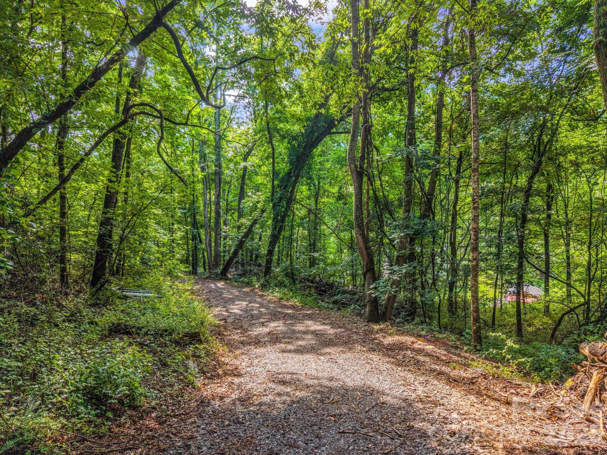 improved, and easily driveable driveway - 00 Kema Road, Swannanoa