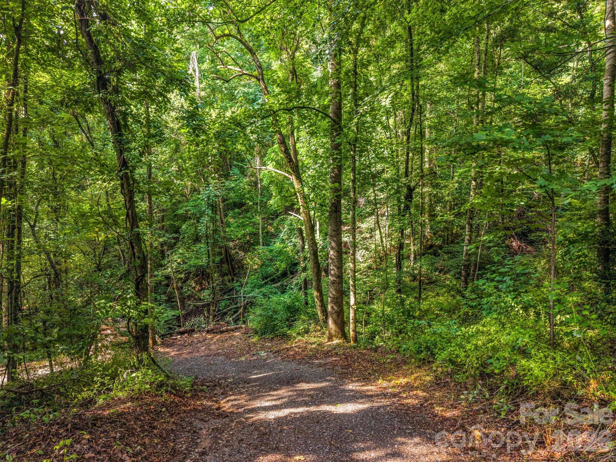 improved, and easily driveable driveway - 00 Kema Road, Swannanoa