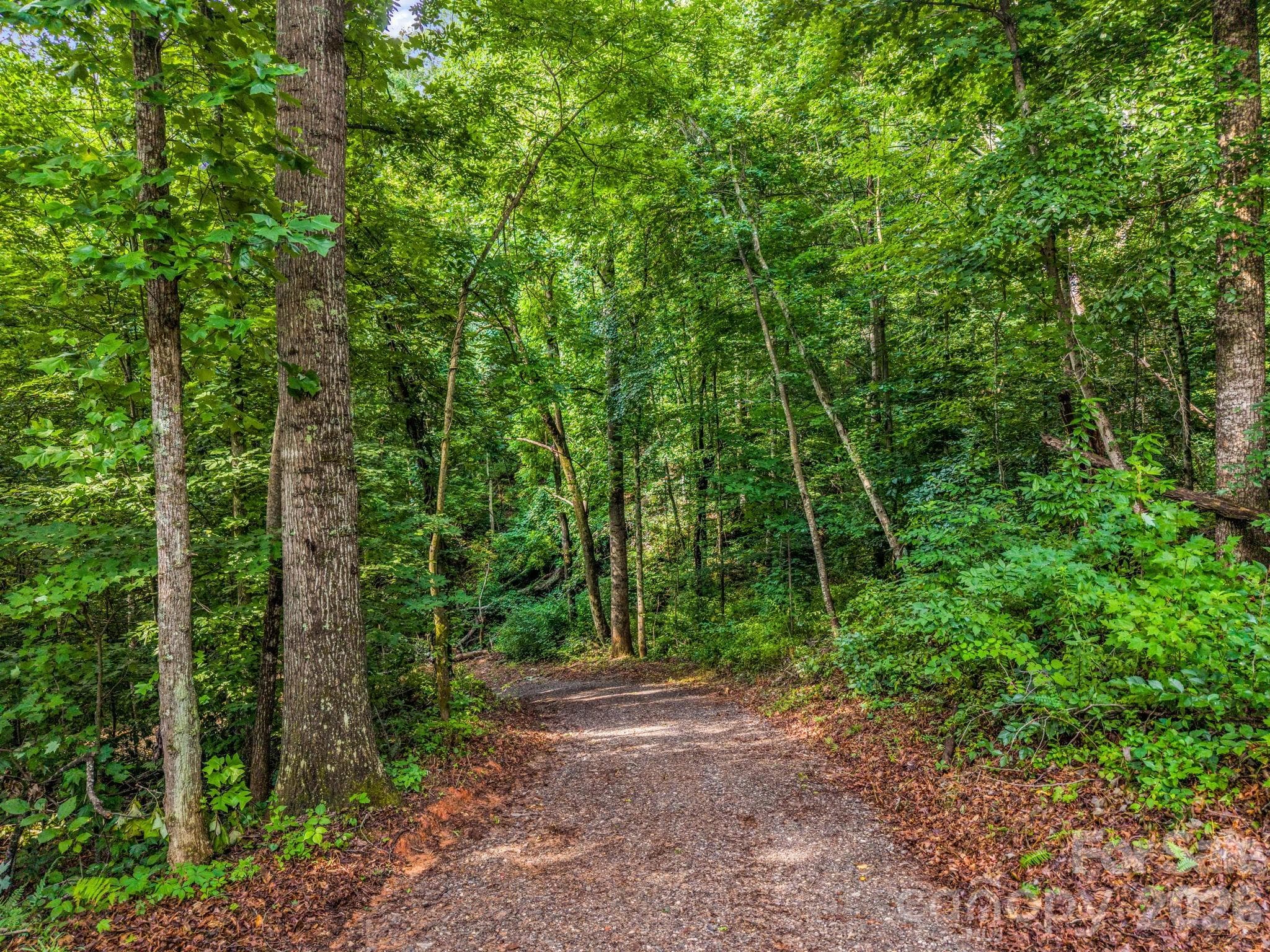 improved, and easily driveable driveway - 00 Kema Road, Swannanoa