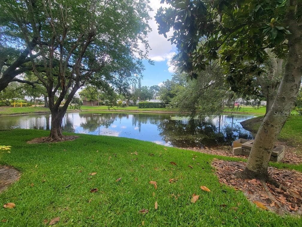 Condominium at 10024 STRAFFORD OAK CT #813, TAMPA, photo 3 of 16