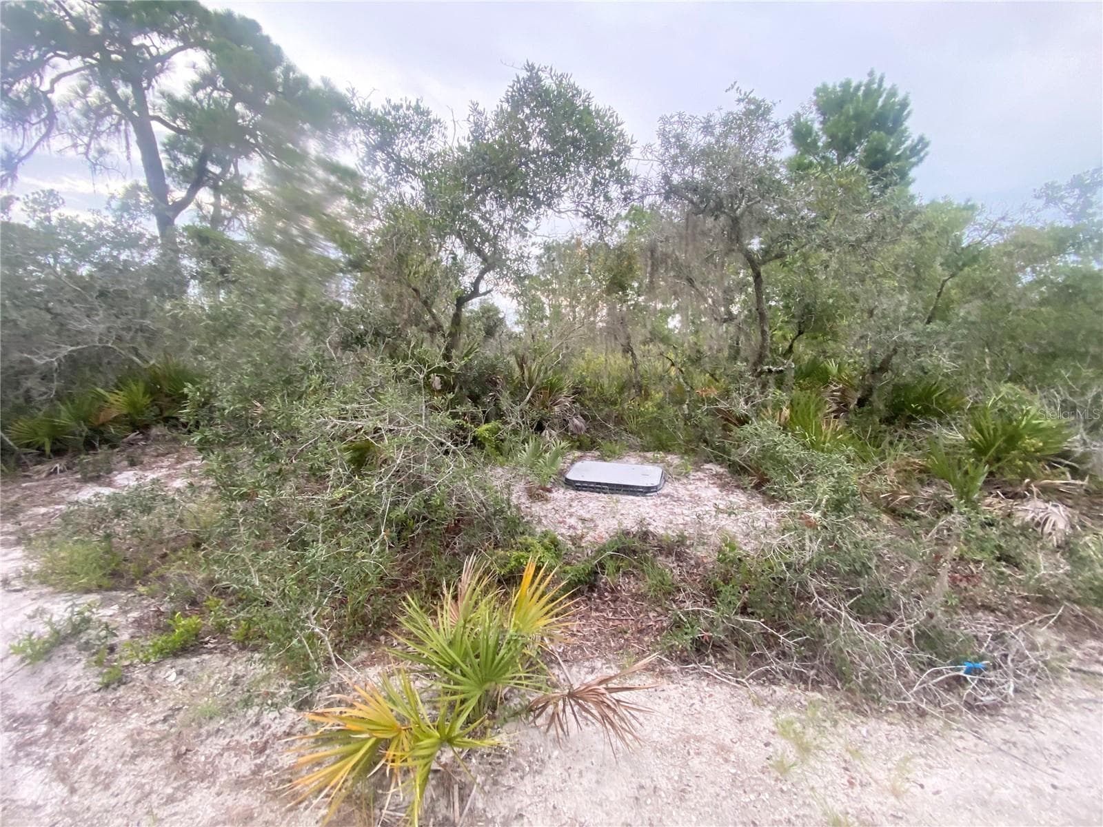 Land at 325 BRANT AVE, SEBRING, photo 2 of 3