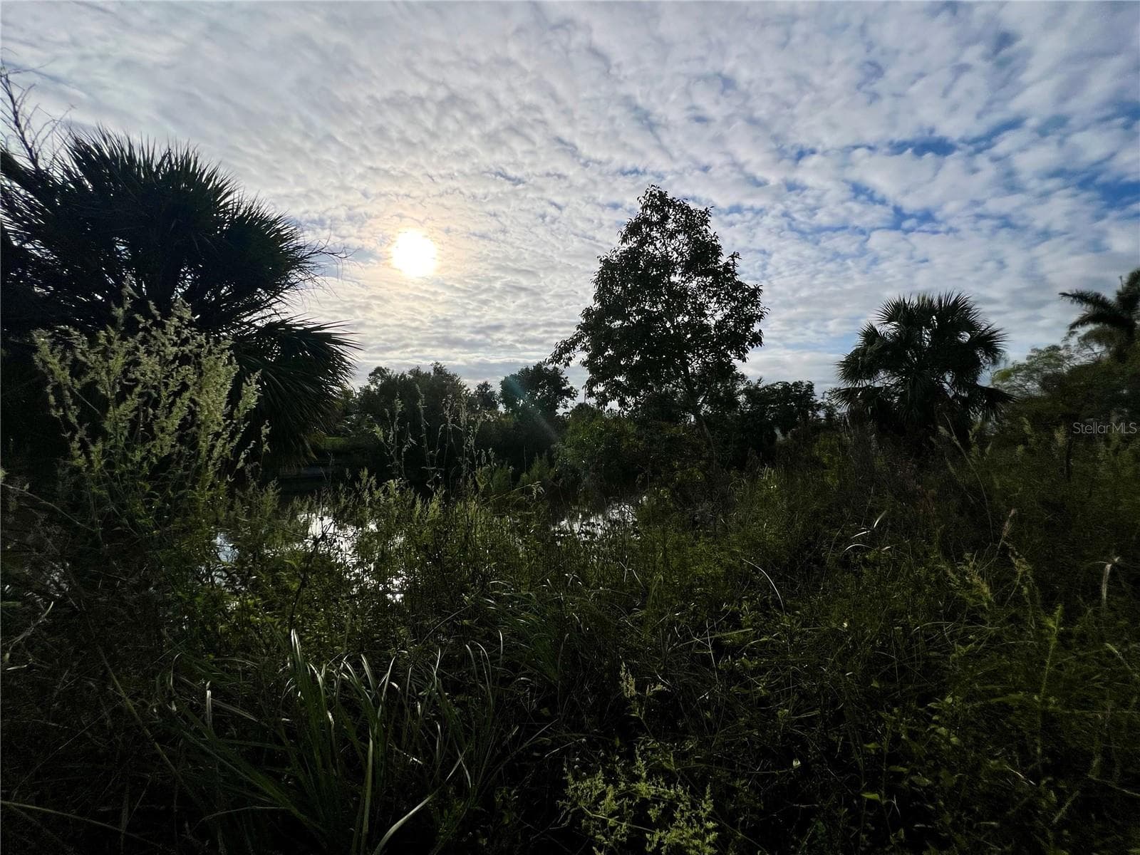 Land at 1229 NE 13TH PL, CAPE CORAL, photo 2 of 6