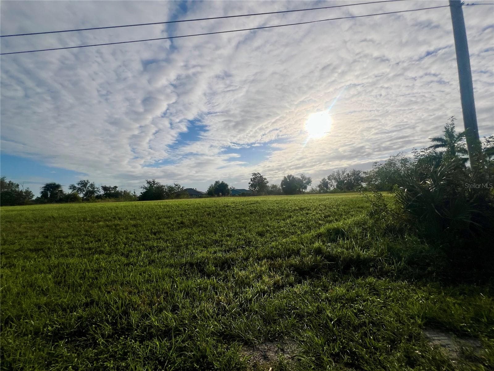 Land at 1229 NE 13TH PL, CAPE CORAL, photo 3 of 6