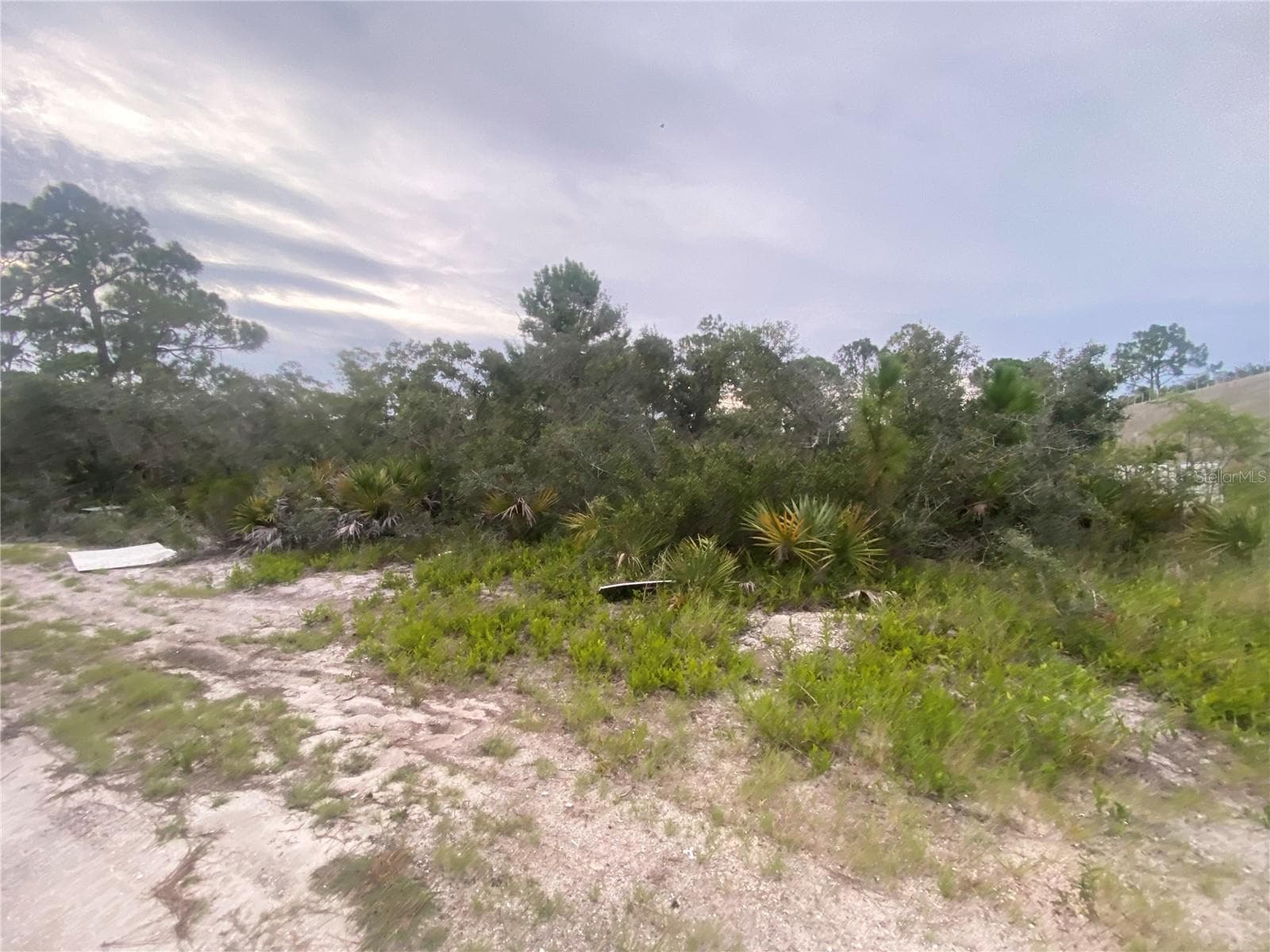 321 BRANT AVE