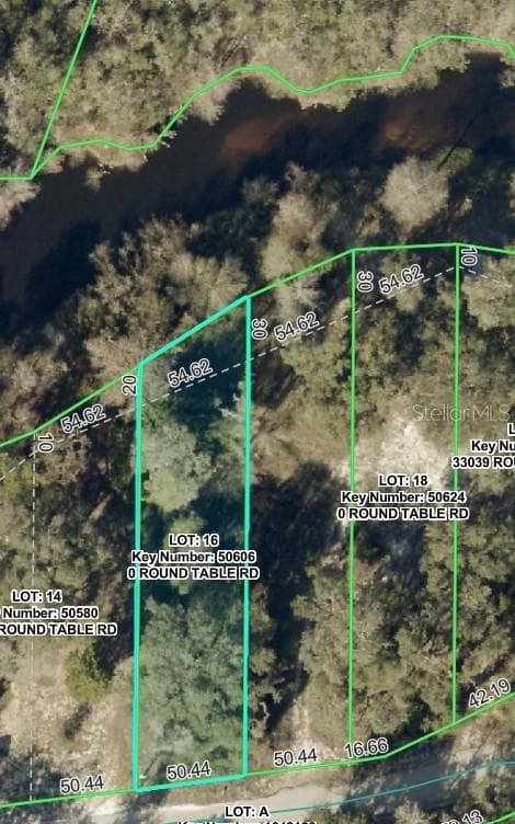 Land at 0 ROUND TABLE RD, DADE CITY, photo 2 of 12