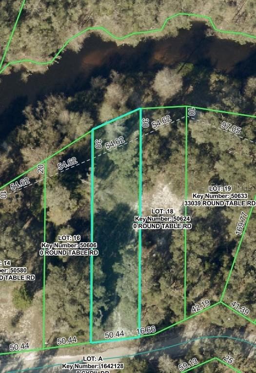 Land at 0 ROUND TABLE RD, DADE CITY, photo 3 of 12
