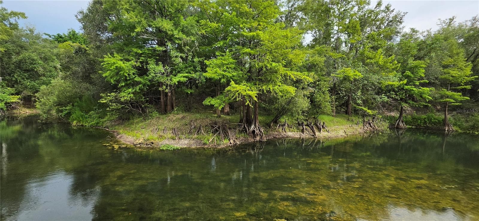 Land at 0 ROUND TABLE RD, DADE CITY, photo 4 of 12