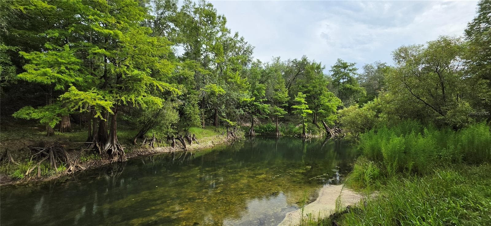 Land at 0 ROUND TABLE RD, DADE CITY, photo 5 of 12